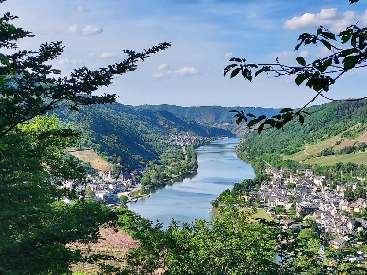 Ferienhaus Zum Prinzenkopf Alf Exteriör bild